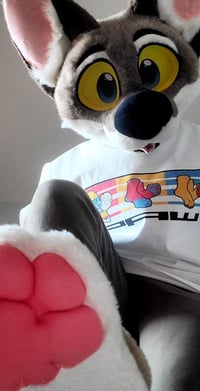 Image 3 of PAW Shirt (White)