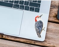 Image 2 of Red-bellied Woodpecker Vinyl Sticker 