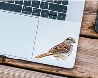 Image 2 of White Throated Sparrow Bird Vinyl Sticker