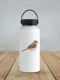 Image 3 of White Throated Sparrow Bird Vinyl Sticker