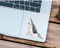 Image 2 of White-Breasted Nuthatch Bird Vinyl Sticker