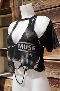 Image 2 of Muse