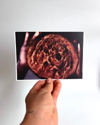 Dutch Crunched Bread Print