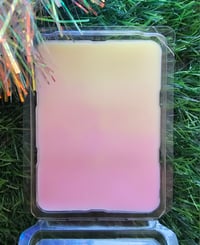 Image 4 of Rainbow Sherbert 