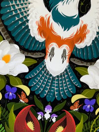 Image 2 of Kingfisher Mandala