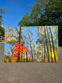 Image 3 of - Into The Valley -