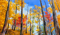Image 1 of - Autumn Gold -