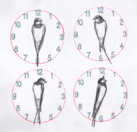 4 Faulty Clocks - Print