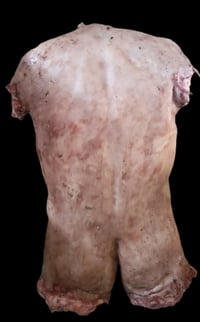 Image 2 of The Degenerates Prop Torso