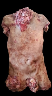 Image 1 of The Degenerates Prop Torso