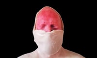 Image 2 of American Guinea Pig Bloodshock Head Prop