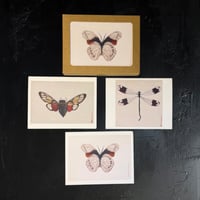 Image 1 of Insect Note Cards