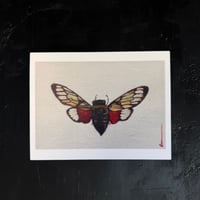 Image 3 of Insect Note Cards