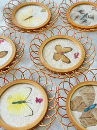 Image 3 of Cottage Hippy Butterfly Coasters
