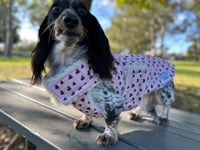Image 3 of Hearts Quilted Chest Cover Coat