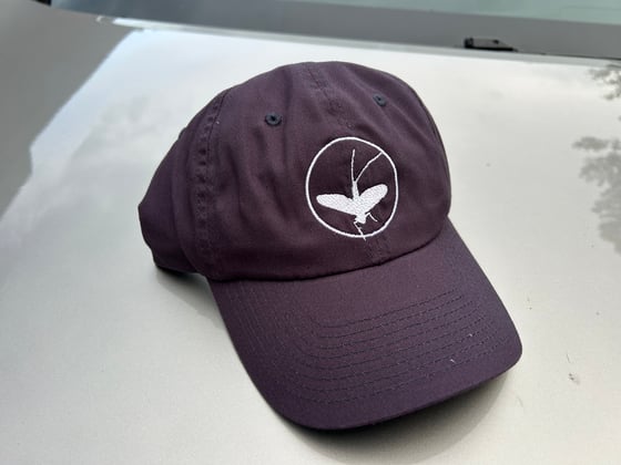 Image of Mayfly Daddio hat