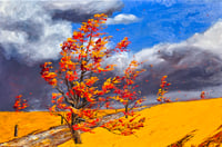 Image 1 of - The Journey -