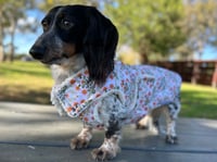 Image 2 of Floral Quilted Cotton Chest Cover coat