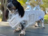 Image 5 of Cream Puffer Chest Cover coat