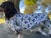 Image 4 of Blue Floral Raincoat
