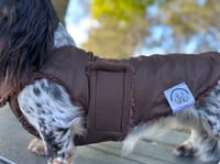 Image 1 of Chocolate Windbreaker Chest Cover Coat