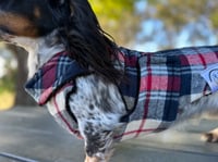 Image 2 of Blue Flannel Chest Cover Coat