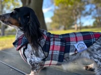 Image 3 of Blue Flannel Chest Cover Coat
