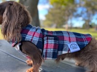 Image 4 of Blue Flannel Chest Cover Coat