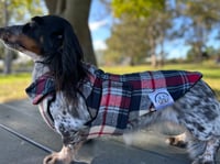Image 5 of Blue Flannel Chest Cover Coat