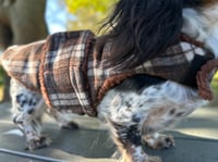 Image 1 of Milton Strap Coat