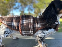 Image 2 of Milton Strap Coat