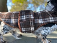 Image 4 of Milton Strap Coat