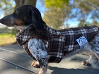 Image 1 of Milton Chest Cover coat