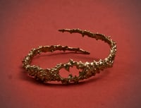 COLUBRO VIPERINO II_Crocodile Jaws