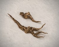SCITALI RITORTI_Crocodile Jaws
