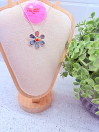 Image 3 of Sunset Orange Daisy