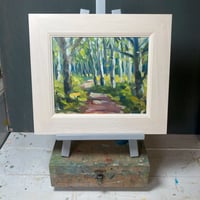 Silver Birch Trees at Arne