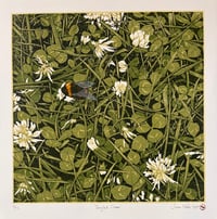 Image 1 of Tangled Clover