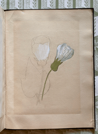 Image 6 of Flower Painting in Water Colours by F. Edward Hulme