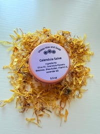 Image 3 of Calendula Salve
