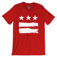 Image 1 of DC FLAG