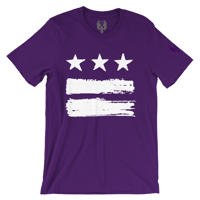 Image 4 of DC FLAG