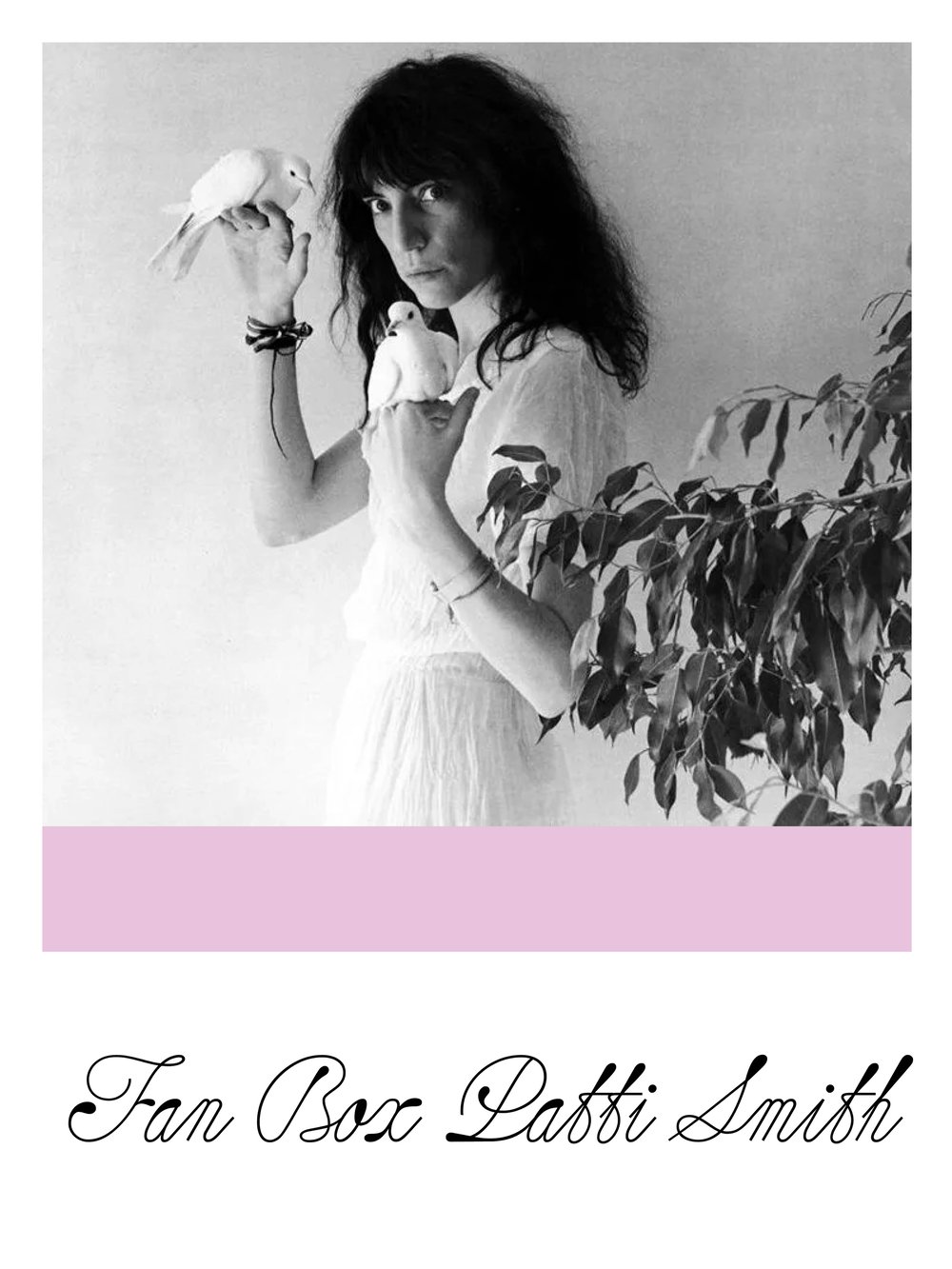 Image of FAN_PATTI