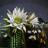 Night Bloomer