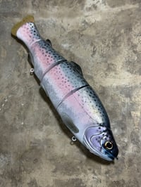 Image 1 of Immortal Trout 9.9 “Summit Trout”