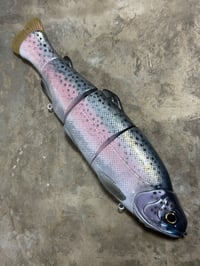 Image 3 of Immortal Trout 9.9 “Summit Trout”