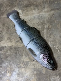 Image 1 of Immortal Trout 9.9 “Bluebow”