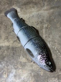 Image 2 of Immortal Trout 9.9 “Bluebow”