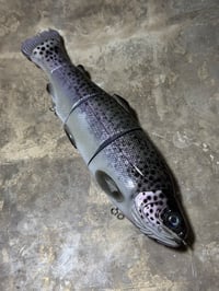 Image 1 of Immortal Trout 9.9 “Civil Dawn”