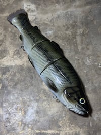 Image 1 of Immortal Trout 9.9 “Bass”